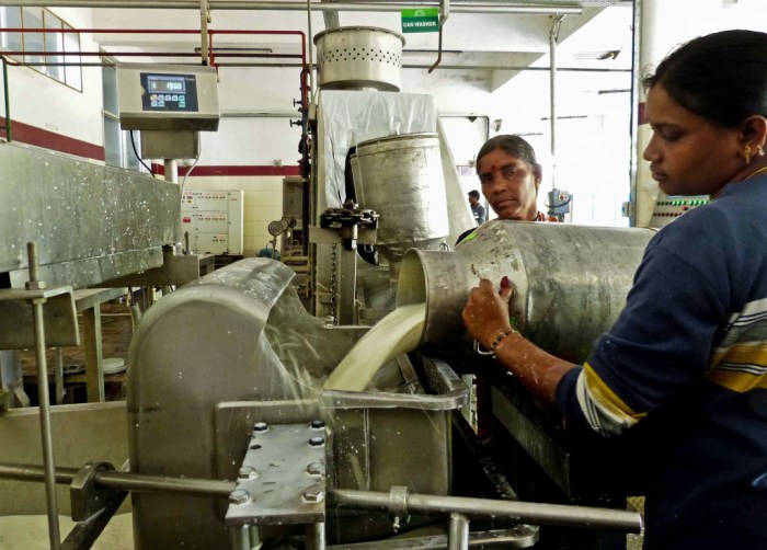 Beyond the Ordinary | Spark