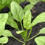 Aviation Sector Urges EU to Enforce Airport Noise Rules | GTP Headlines